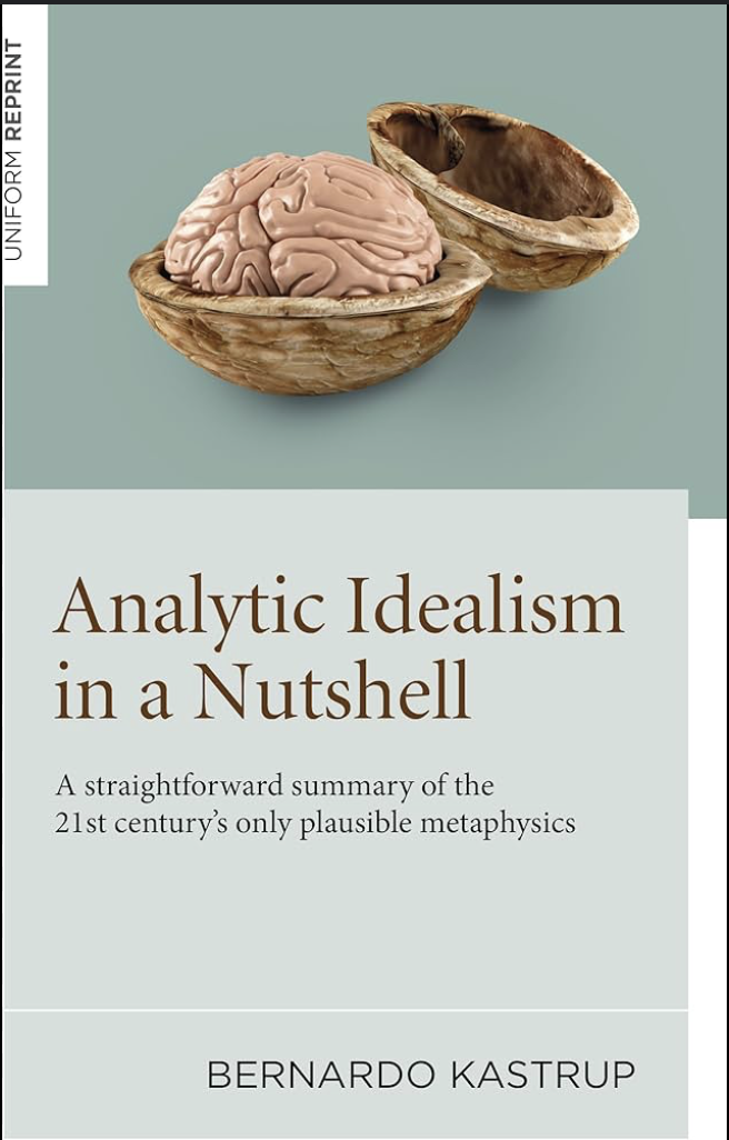 Analytic Idealism in a Nutshell cover